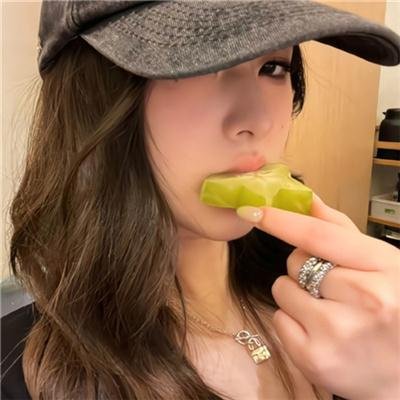 观鸟者指导大全